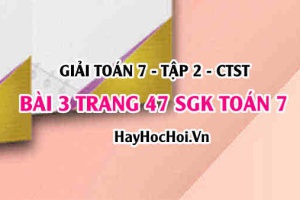 Giải bài 3 trang 47 Toán 7 tập 2 SGK Chân trời sáng tạo